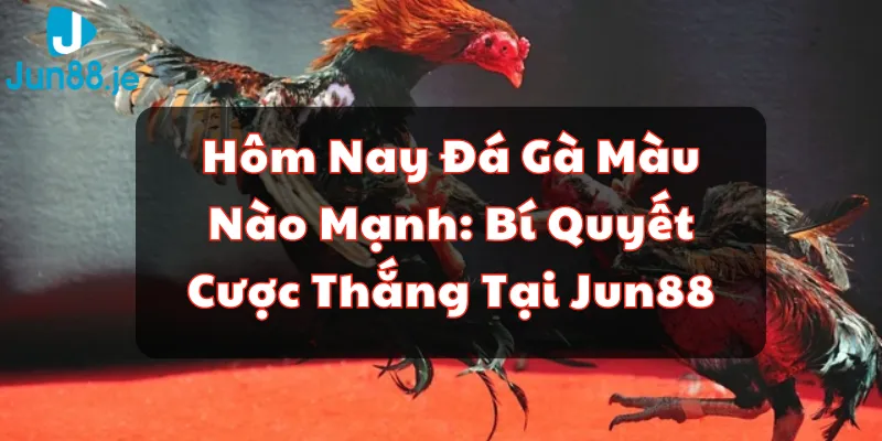 hôm nay đá gà màu nào mạnh